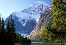 微信论坛和天涯社区一起走过的网络时光